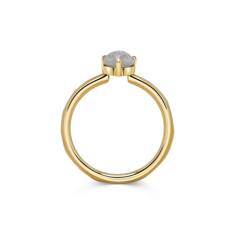 Ring 002