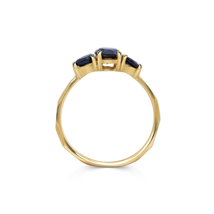 Ring 005