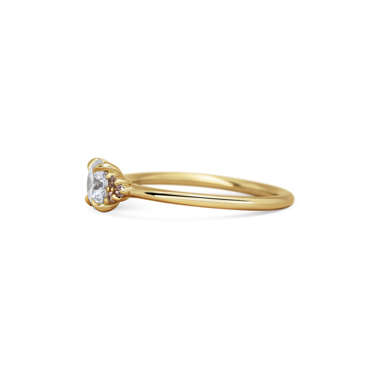 Maje Ring