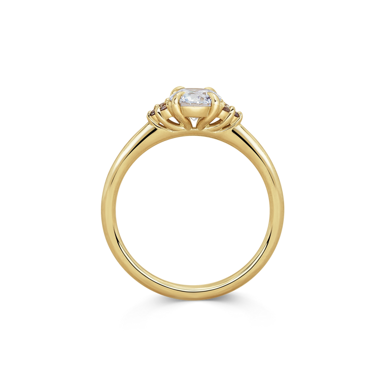 Maje Ring