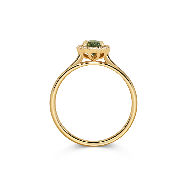 Marina Ring