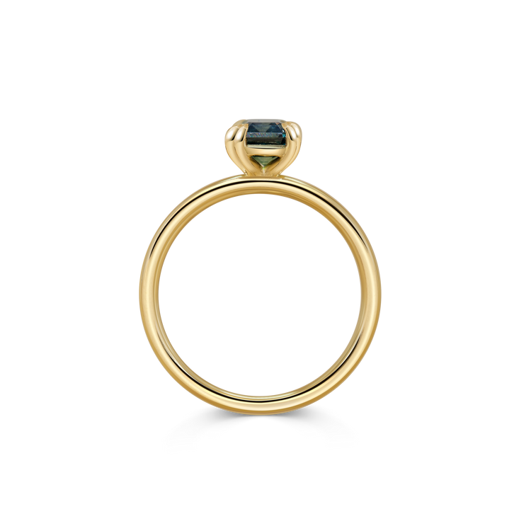Pablo Ring