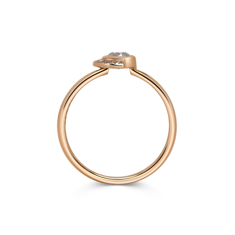 Ring 009