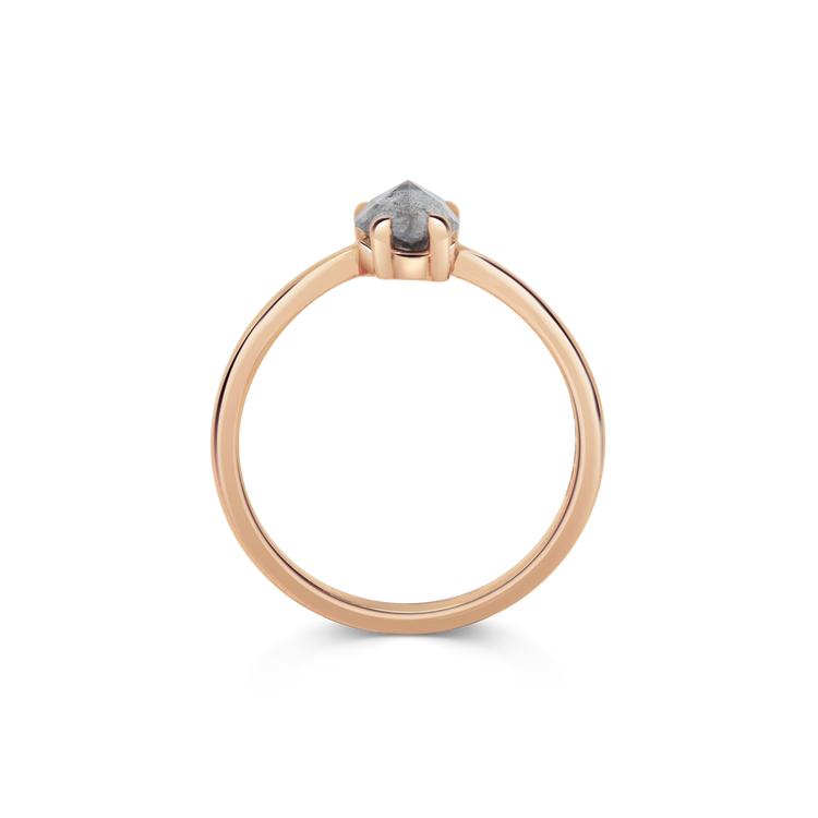 Ring 013