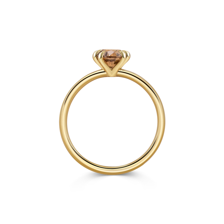 Castor Ring