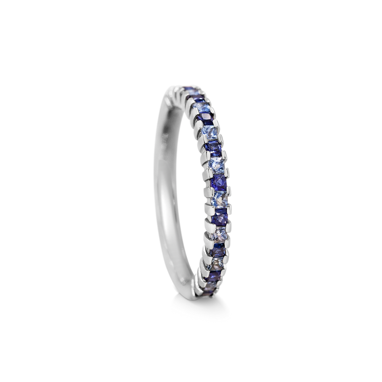Blue Gingham Band