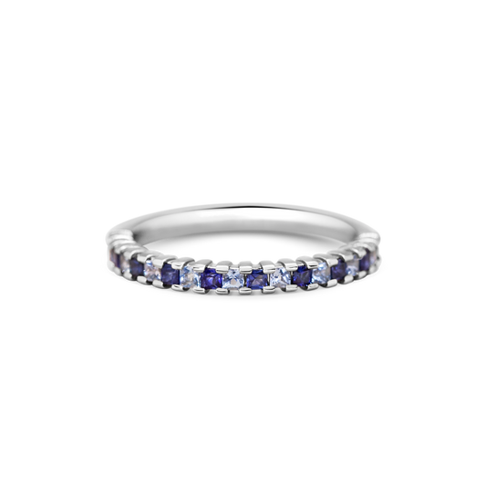 Blue Gingham Band