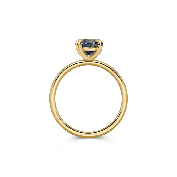 Giotto Ring