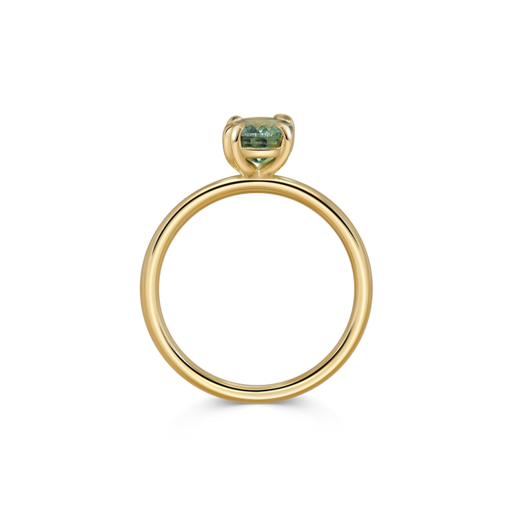 Turner Ring